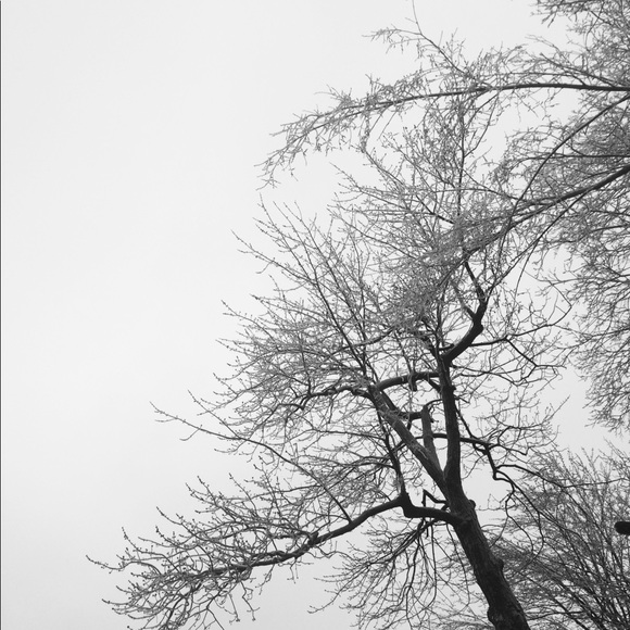 Meet your Posher, Melissa - Picture 1 of 1